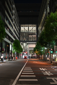 国際フォーラム