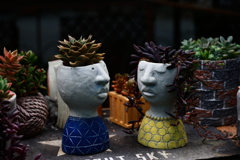 あなたと私