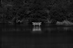 水面に佇む神秘的な鳥居と静寂の森