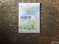 秋津－入間市－ひばりヶ丘－所沢－東久留米－武蔵藤沢－石神井公園－大泉学園
