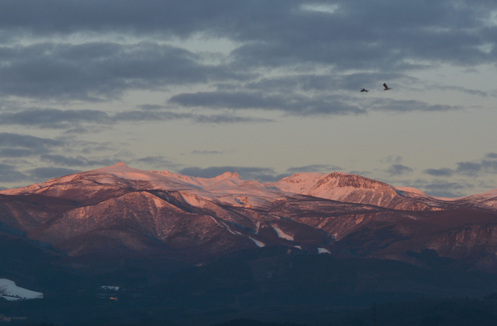 早朝の安達太良山と出勤の早い白鳥さん