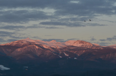 早朝の安達太良山と出勤の早い白鳥さん