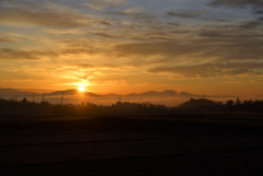 早朝の仕事途中にご褒美。