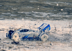 ネオスコーチャー！