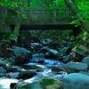 清流と橋