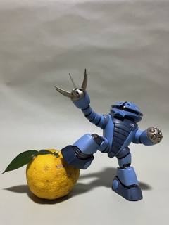 柚子が豊作でした。