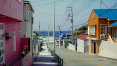 DSC03379