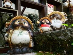 たぬき