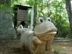 カエル