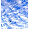 空と雲と飛行機・・・と