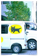 黒猫さんお疲れさま・・・