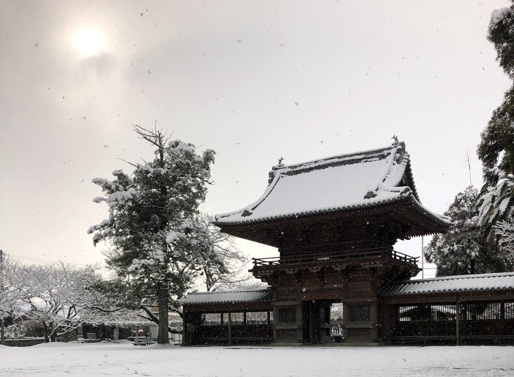 雪化粧
