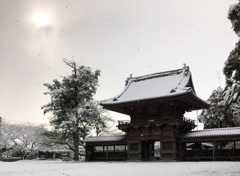 雪化粧