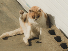 お隣さん