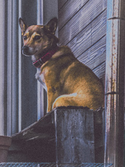 エビスビールに身を委ね 改 エビスビールに身を委ね 改