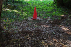 GR000414