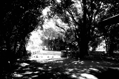GR000401