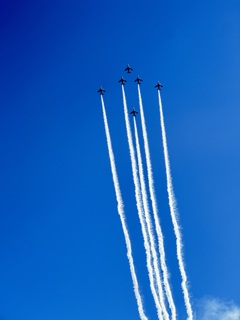 IMG_5275