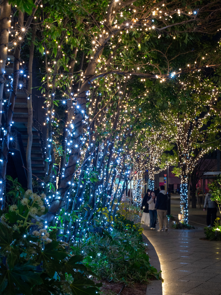 イルミネーション