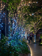 イルミネーション
