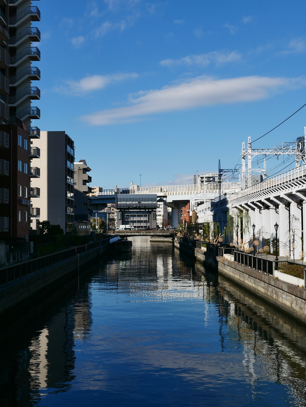 横十間川(カラー)
