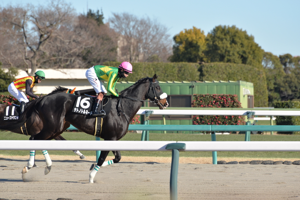 さぁ走り出そう