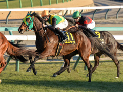 スイッチオン。