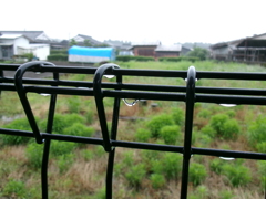 雫