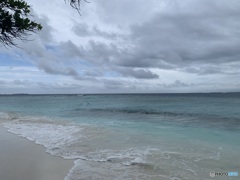 海
