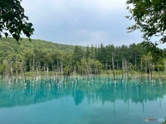 青い池