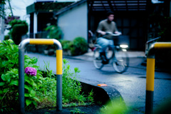 紫陽花の咲く道 4