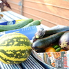 夏野菜