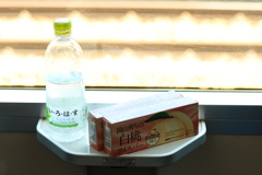 涼を求めて