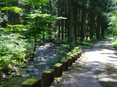 道路脇を流れる千座川