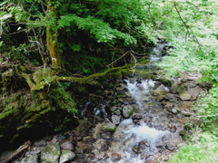 石橋の下(千座川)