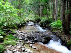 村山市千座川