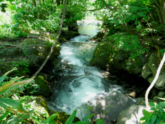 急流(村山野川)