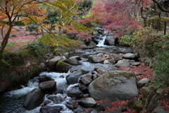 熱海の梅園