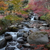 熱海の梅園