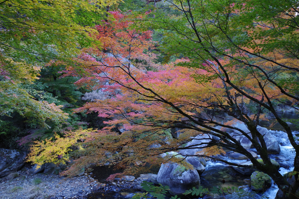 昇仙峡の紅葉