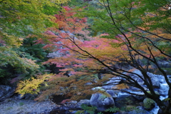 昇仙峡の紅葉