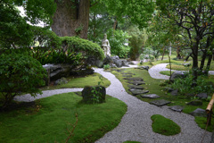 報国寺の庭園