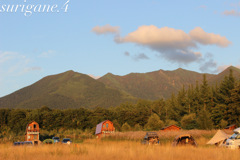 富良野