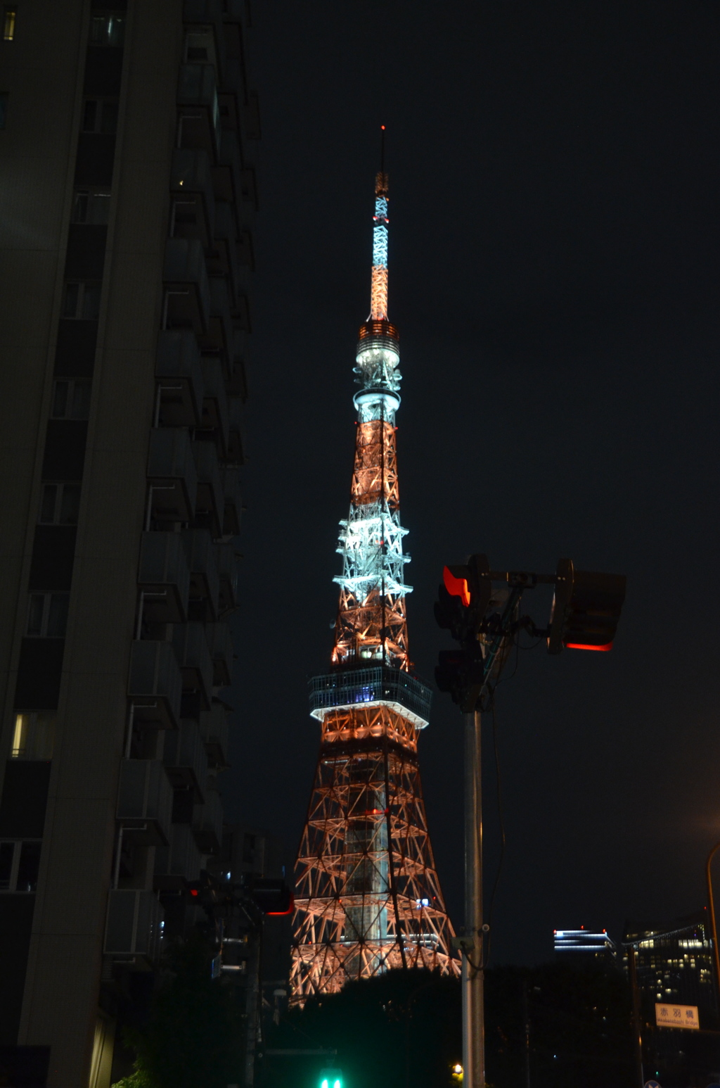 DSC_0250