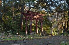 神様の住むところ。