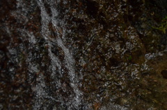 DSC_0166