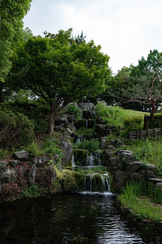 涼しげな景色