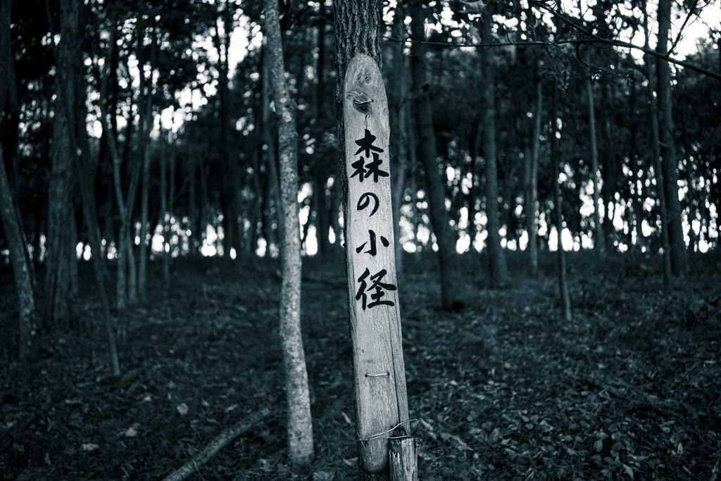道なき道