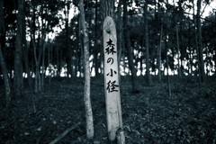 道なき道
