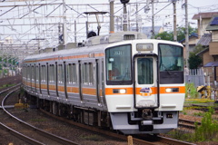 311系ありがとう団臨